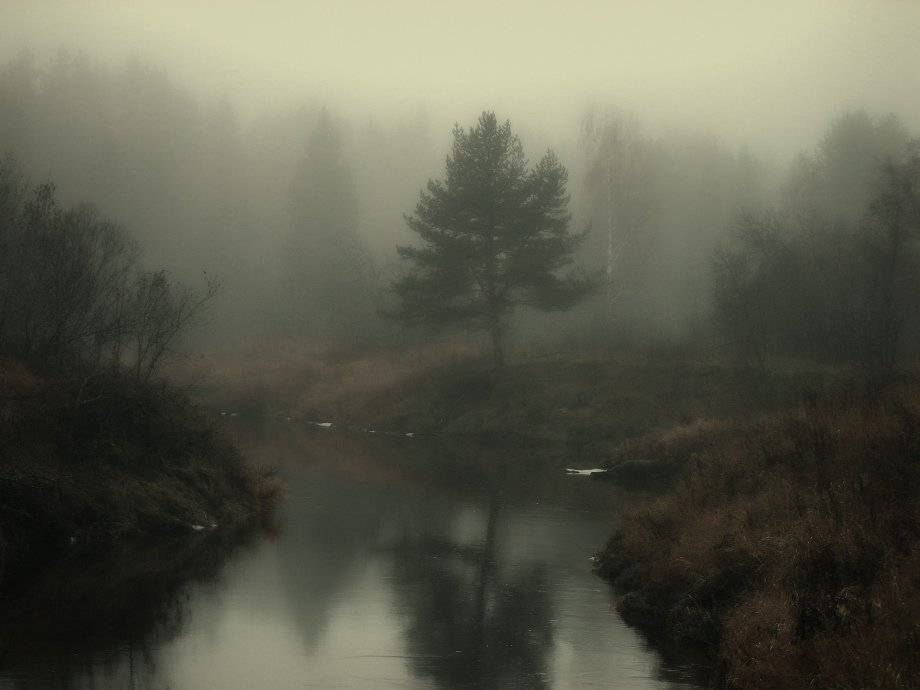 , Владимир Липецких