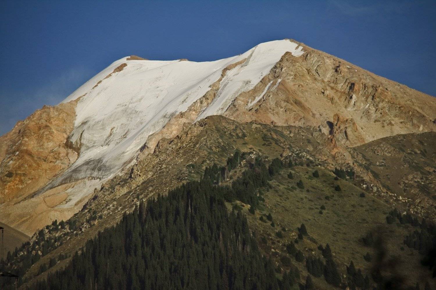 , Михаил Попов