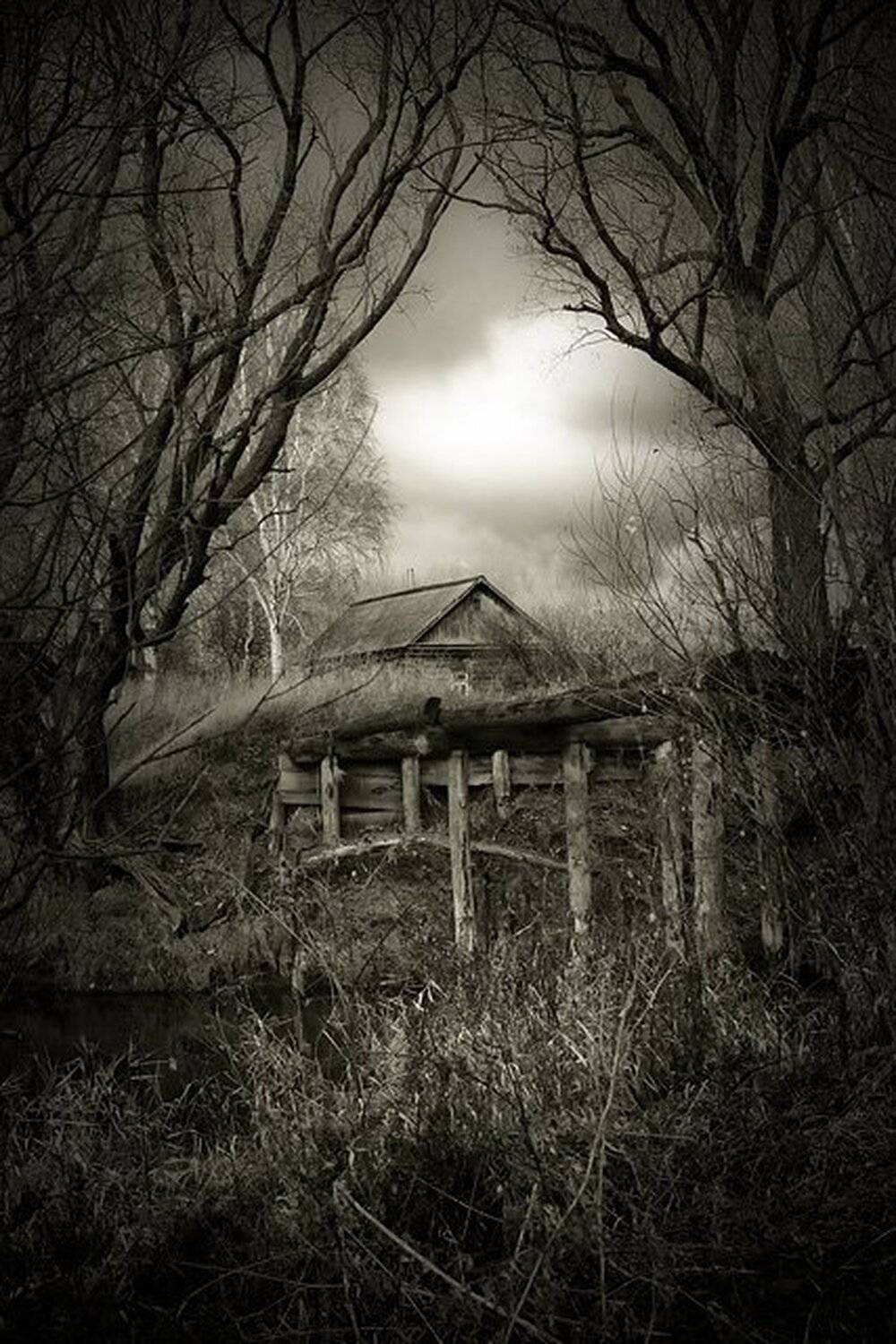 изба, мост, сепия, тучи, деревья, Денис