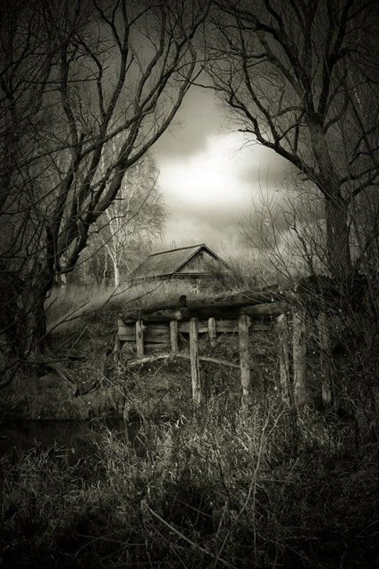 изба, мост, сепия, тучи, деревья Одиночество фото превью