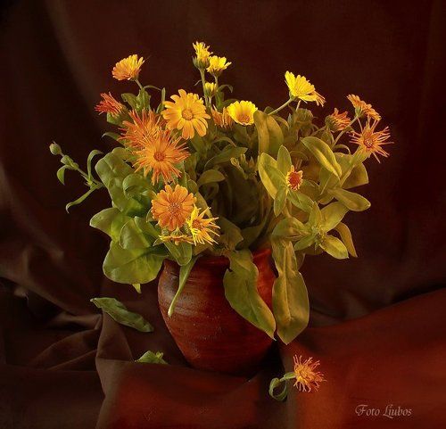 Маленькая ночная серенада..