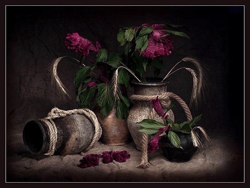 С колосками фото превью