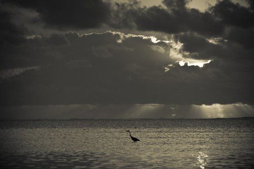 Zanzibar at dawn