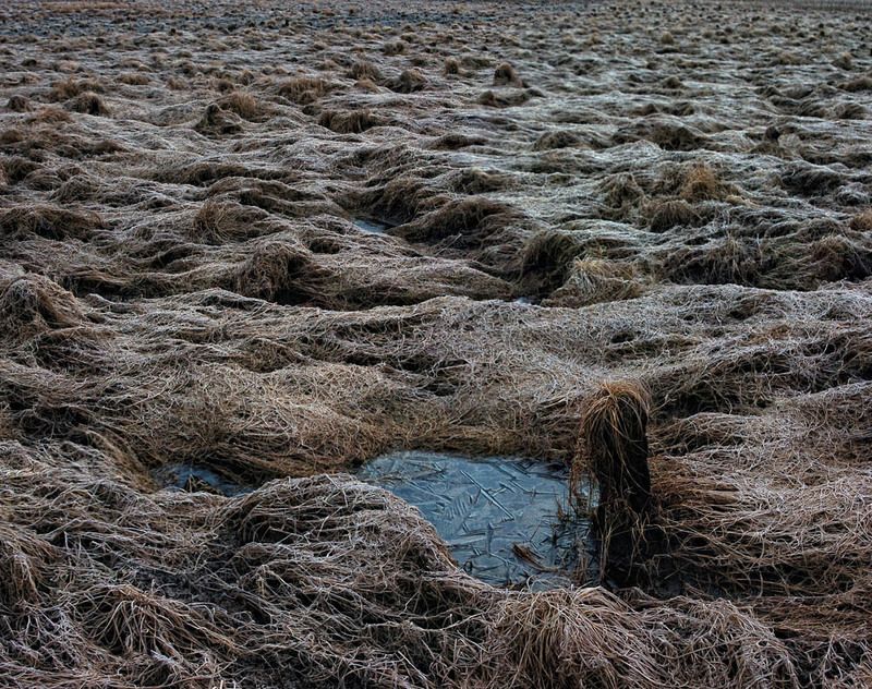 марь фото превью