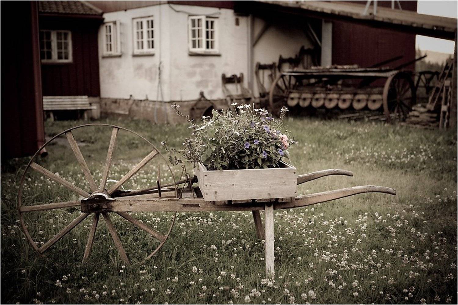 , Дмитрий Краснов