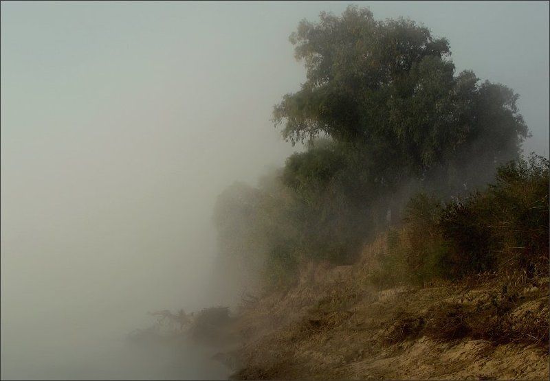 Туман фото превью