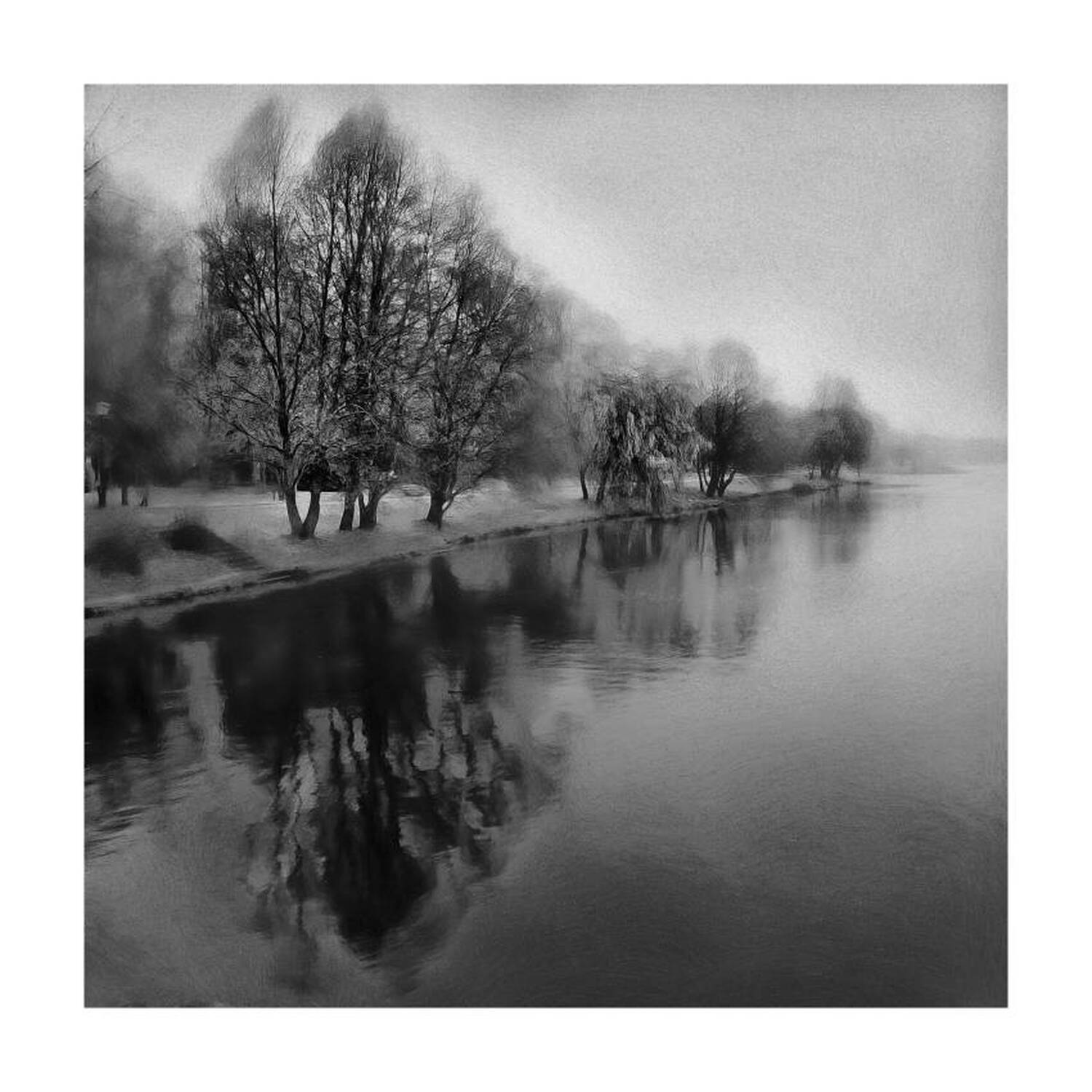 несвиж, парк, беларусь, пейзаж, осень, черно-белое, Sema