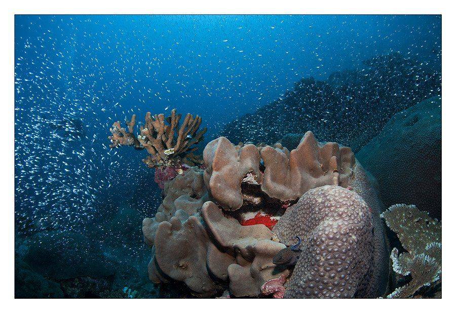 , Нарчук Андрей