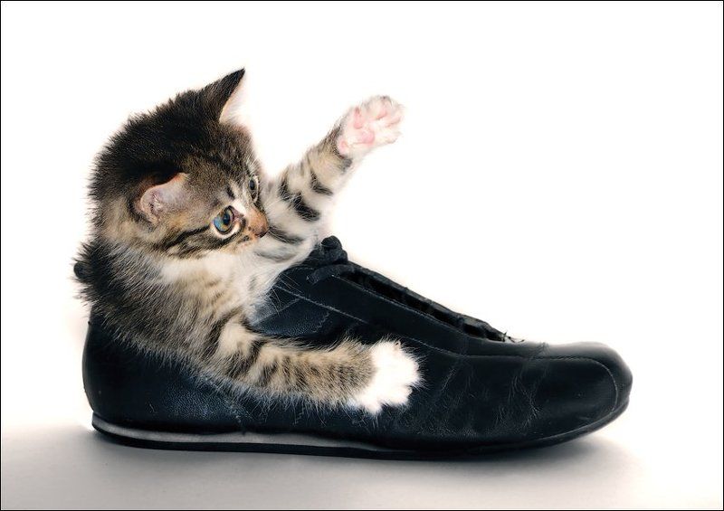 Осторожно! Ребёнок за рулём! фото превью