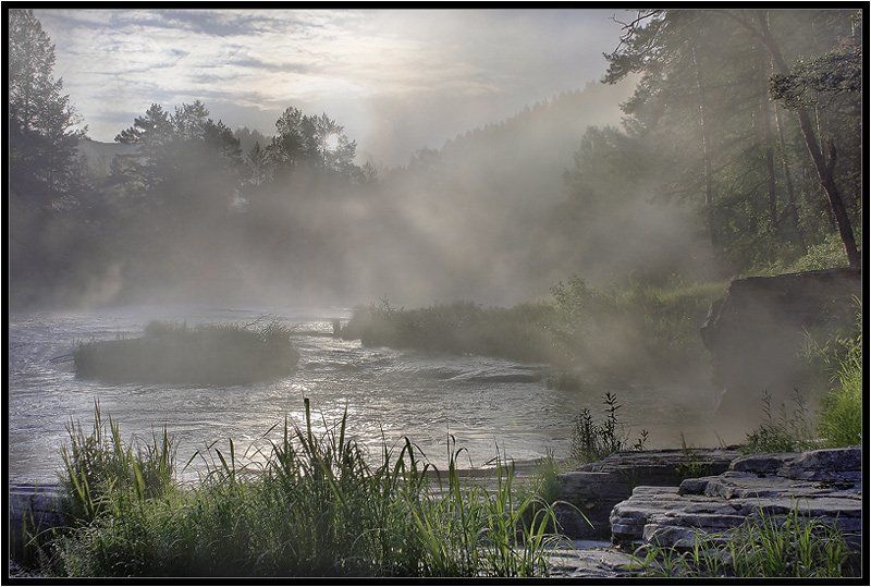 Туман -Хозяин утра! фото превью