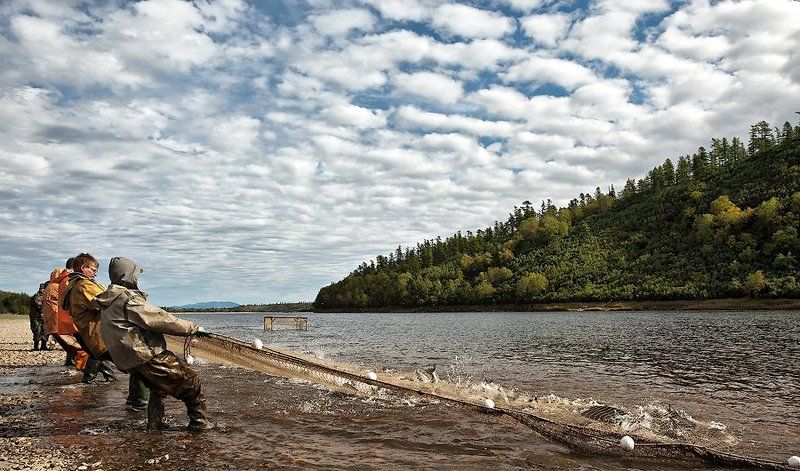 ... фото превью