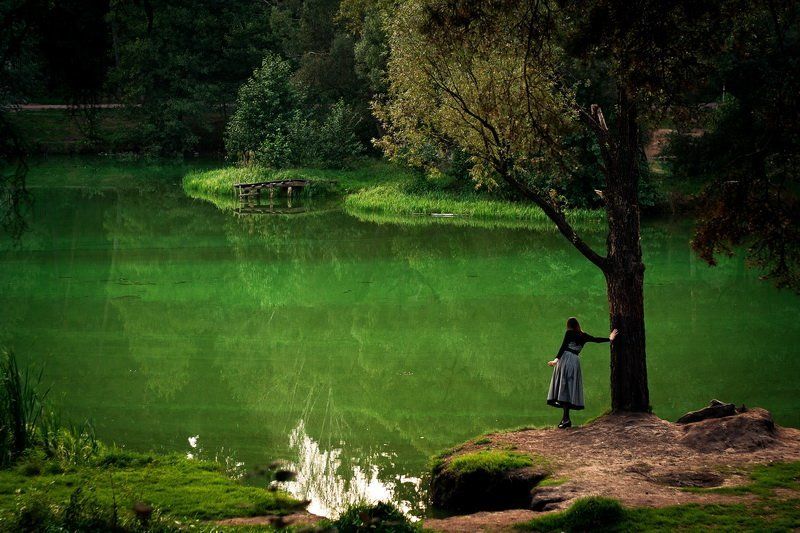 It is my own swamp фото превью