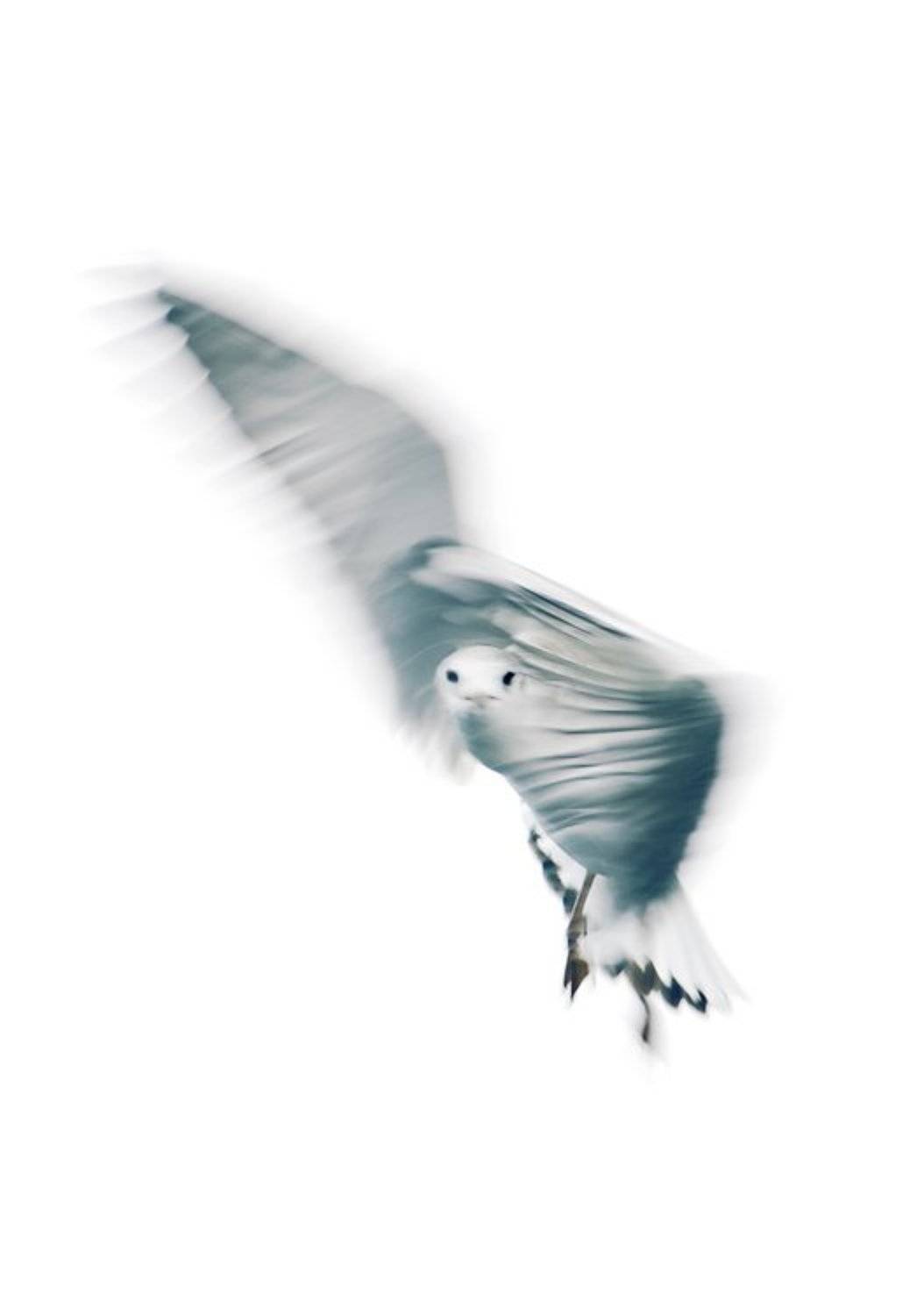 , Марк Пономаренко