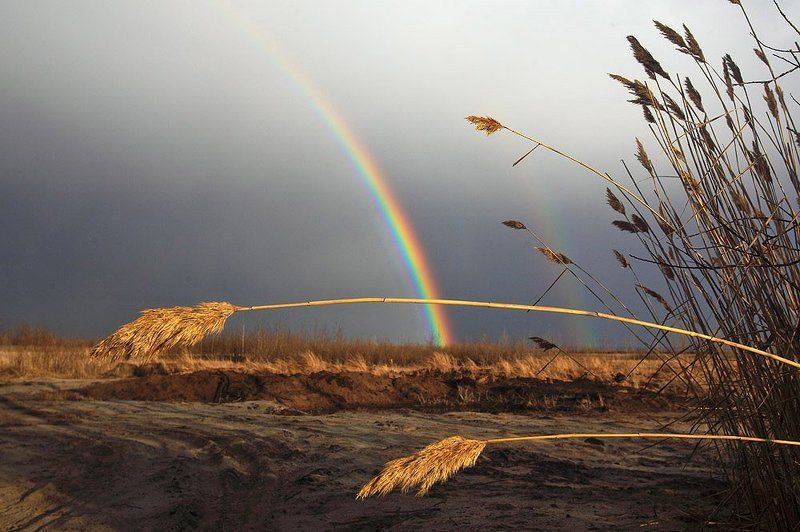 Поклон стихие фото превью