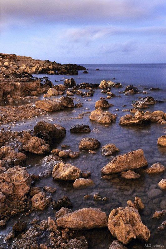 Planet X фото превью