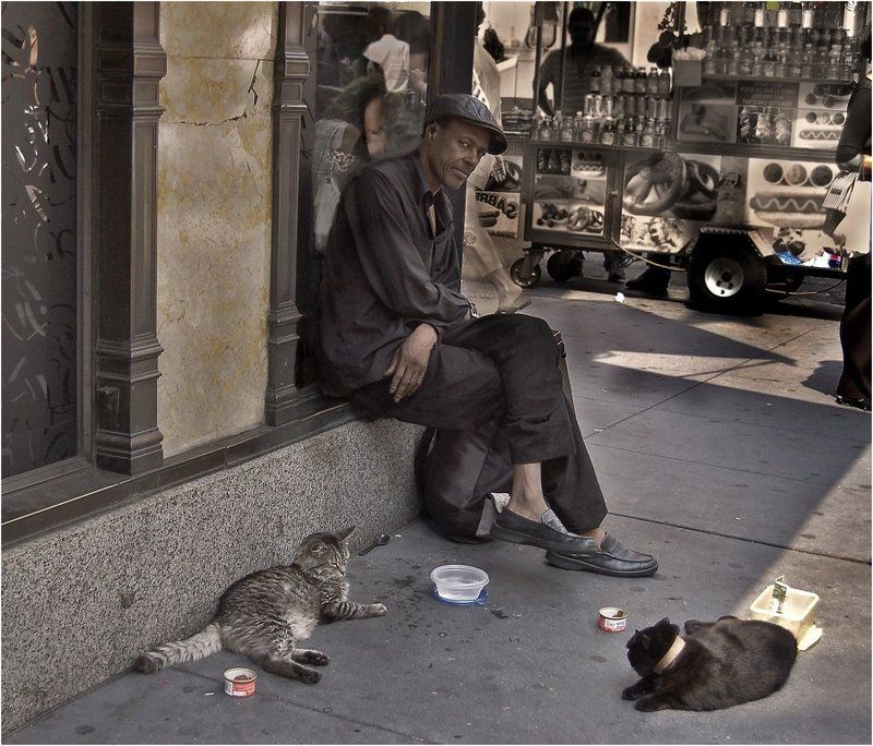 америка, нью-йорк, негр, кошки, черный, афро-американец, свобода, нищий Наконец-то свободен!? фото превью