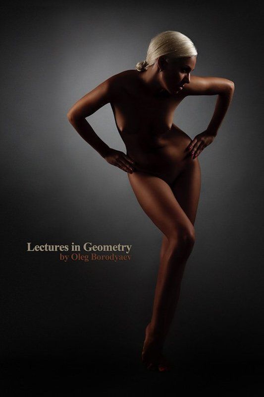 Lectures in Geometry фото превью