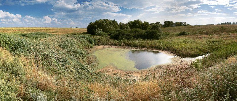 Золотое лето. фото превью