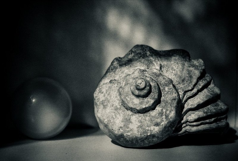 oV@ фото превью