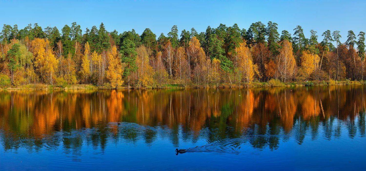 осень, речка, пехорка, лосиный, остров, панорама, Роман Введенский