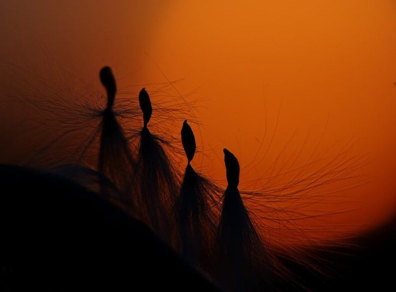 закат В безумном танце на закате... фото превью