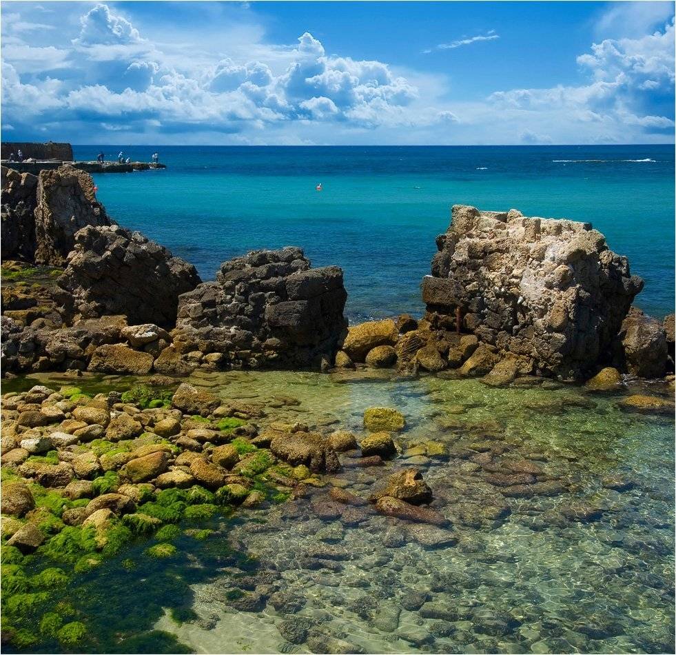 , Александр Беляев