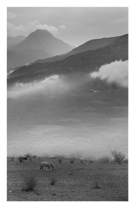 Лошадка под облаками... фото превью