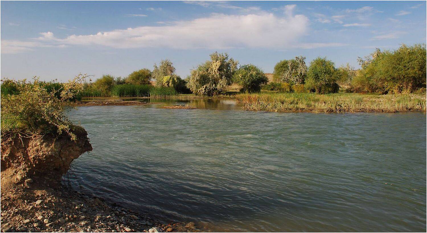 , Геннадий Меремьянин