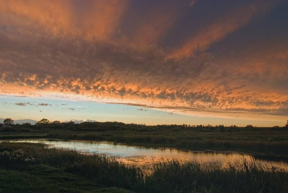 заря, Александр Титаренко