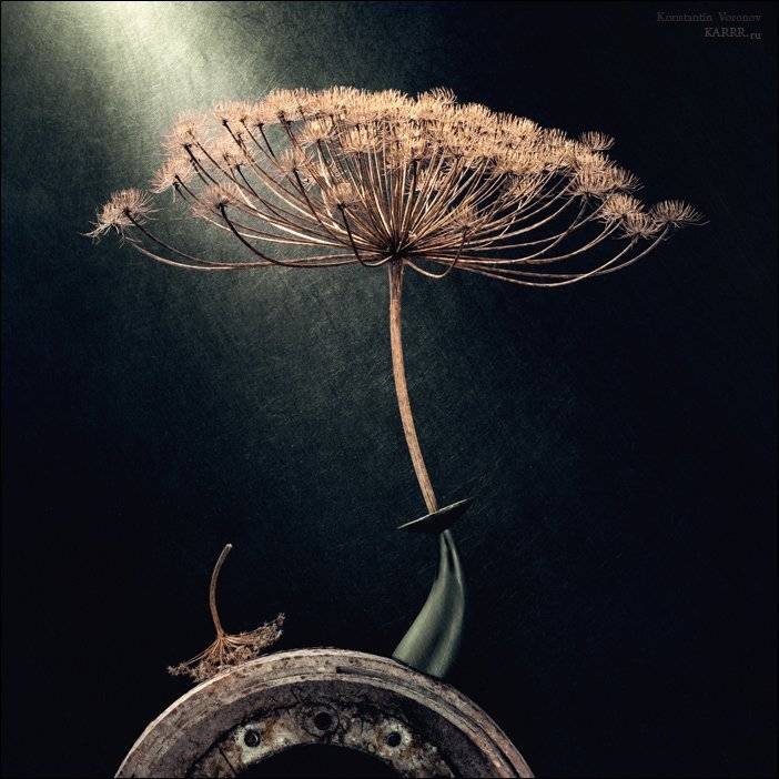 under, my, umbrella, Konstantin Voronov