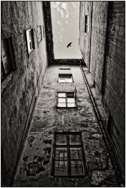 -(- фото превью