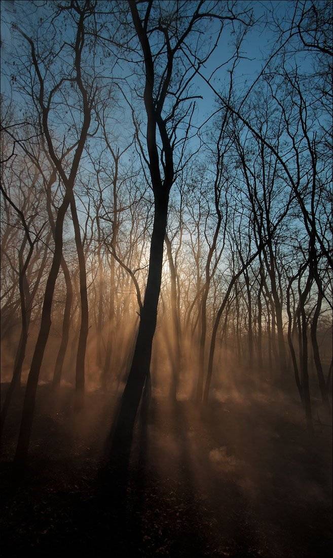 осень, дым, Петриченко Валерий