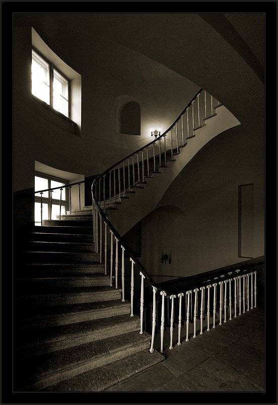 петербург, пушкин, лицей, геометрия, чб, Kirill Shapovalov