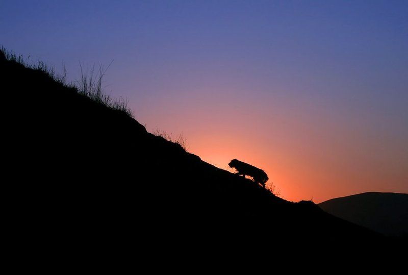 Домой фото превью