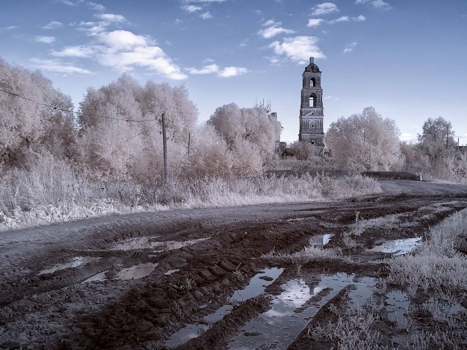 , Максим Евдокимов