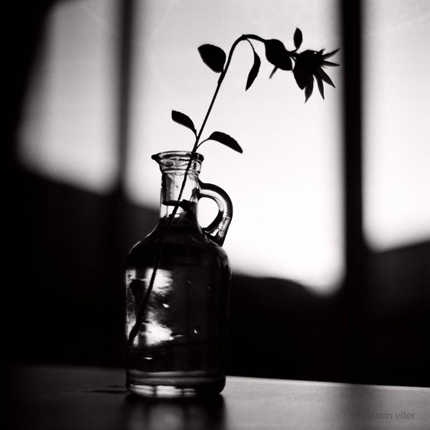 натюрморт, киев 60,, Vincent