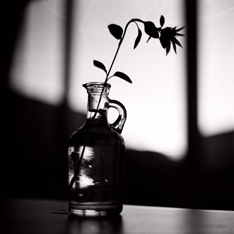 натюрморт, киев 60, * фото превью