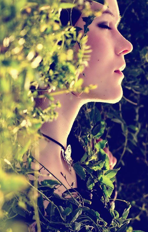 про фею фото превью