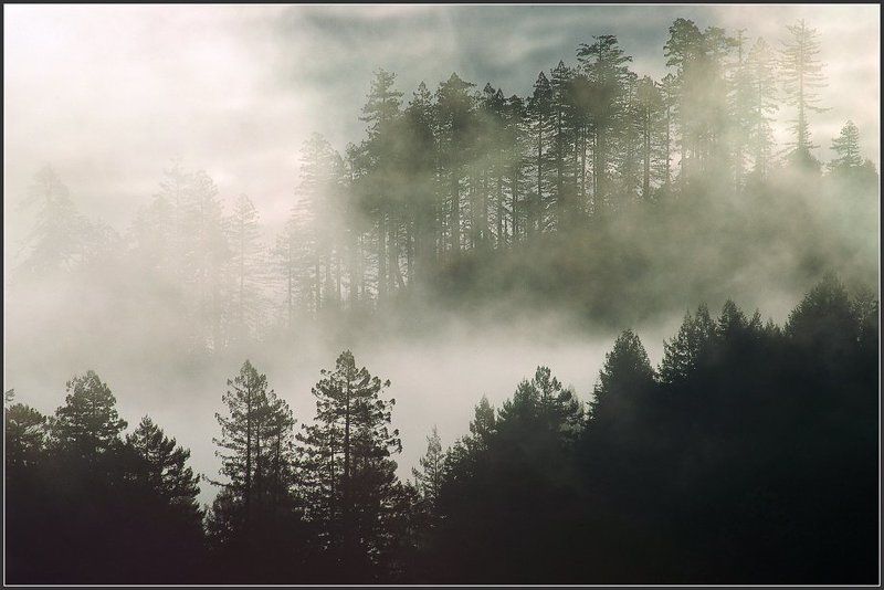 Что день, что вечер... фото превью