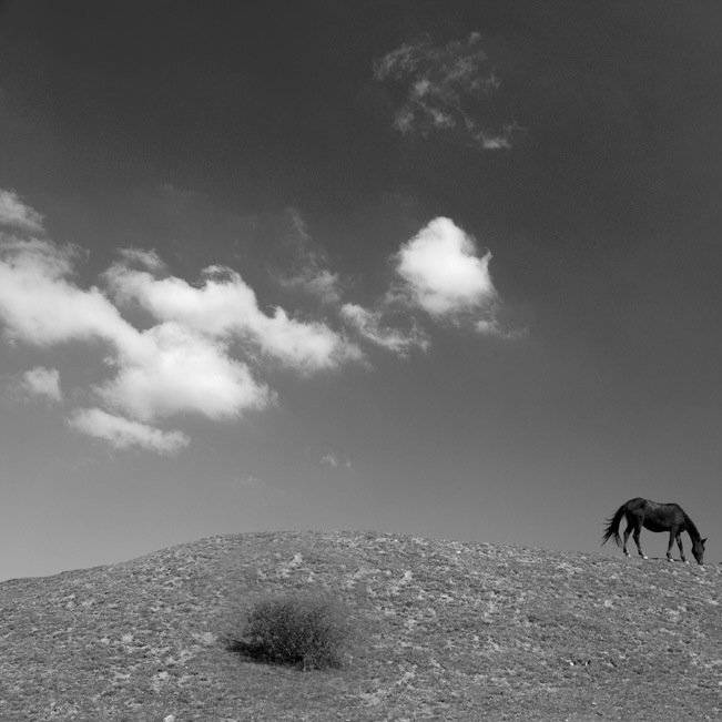 крым, горы, лошадь, воздух, пространство, Александр Андреев