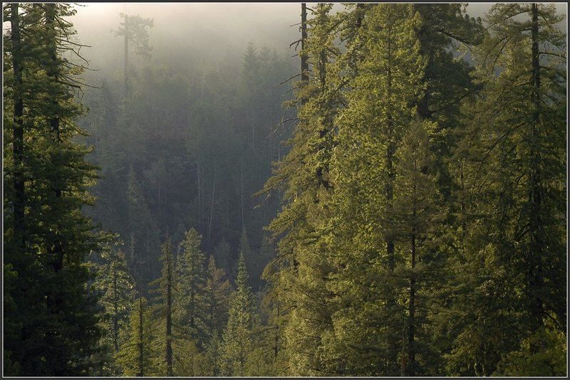 у-у-у-уууу - эхо... фото превью