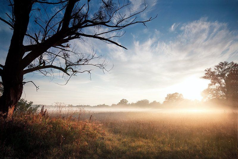 * фото превью