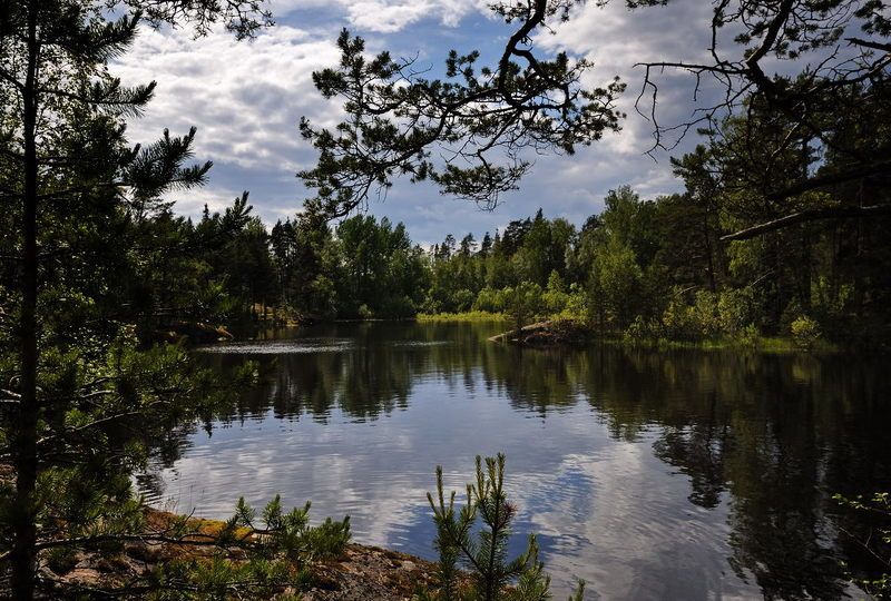 ладожское озеро, карелия *  * фото превью