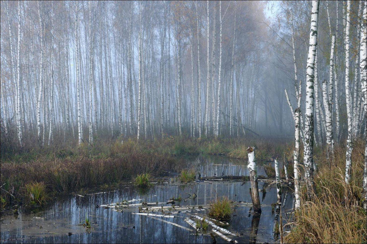 , Владимир Кириллов