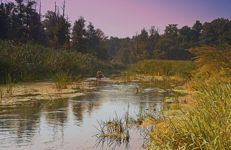 здесь когда-то ходили суда... фото превью