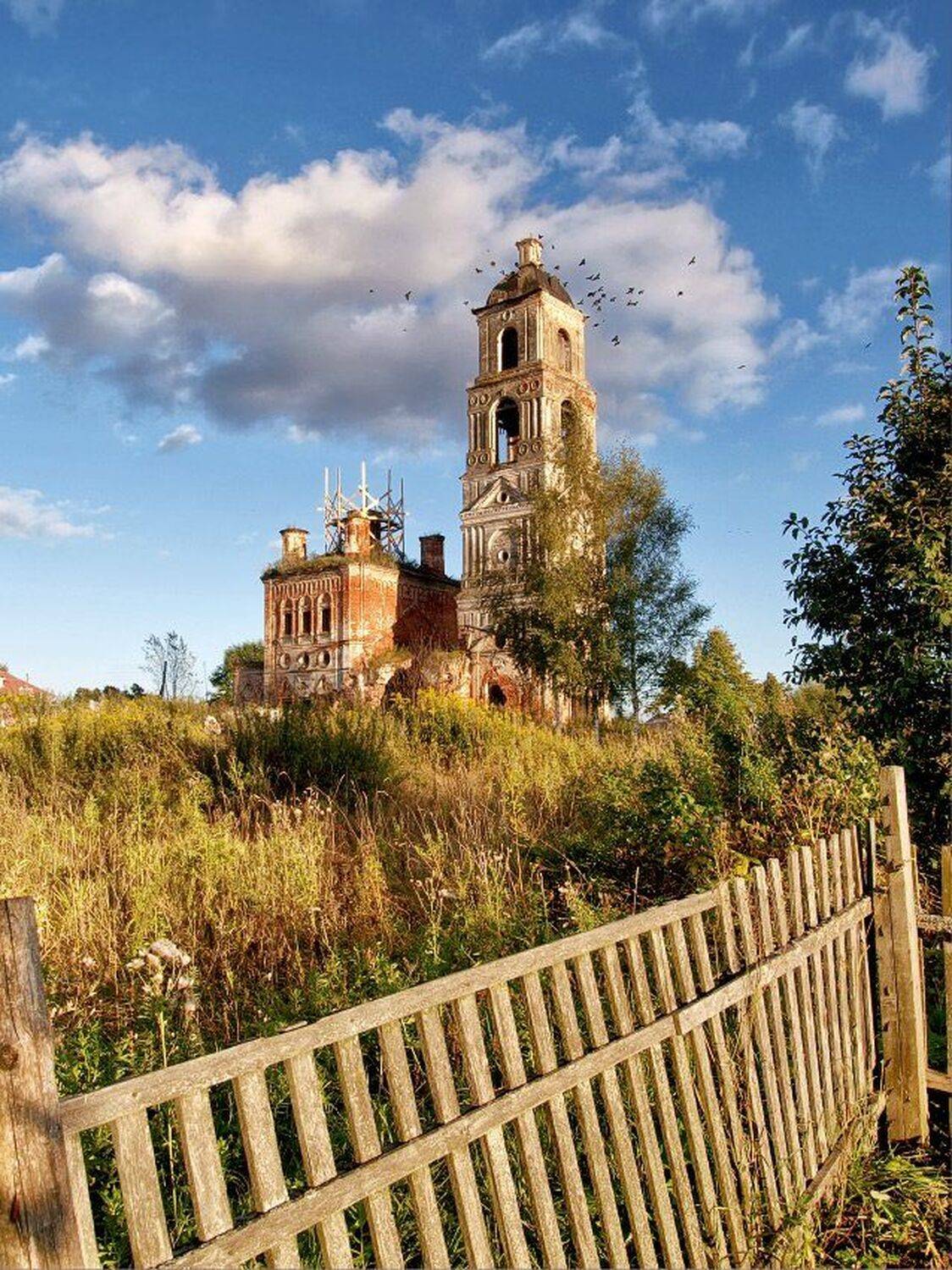 , Максим Евдокимов