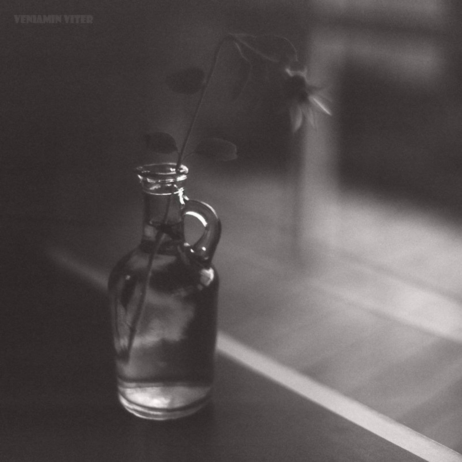 киев 60, нр5, Vincent