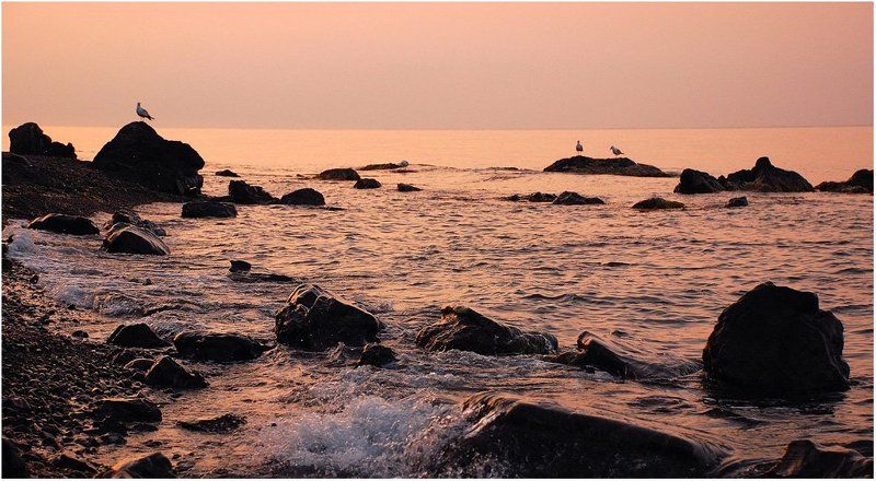 утро, рассвет, восход, берег, чайки, море_черное До восхода Солнца семь минут фото превью