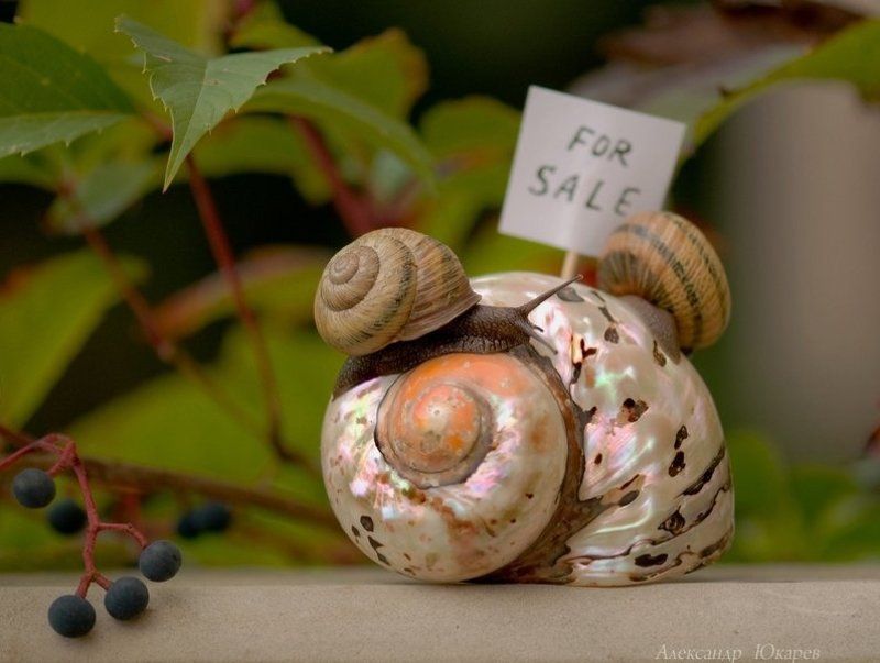 Ипотека фото превью