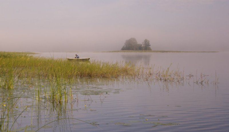 В рассветном тумане фото превью